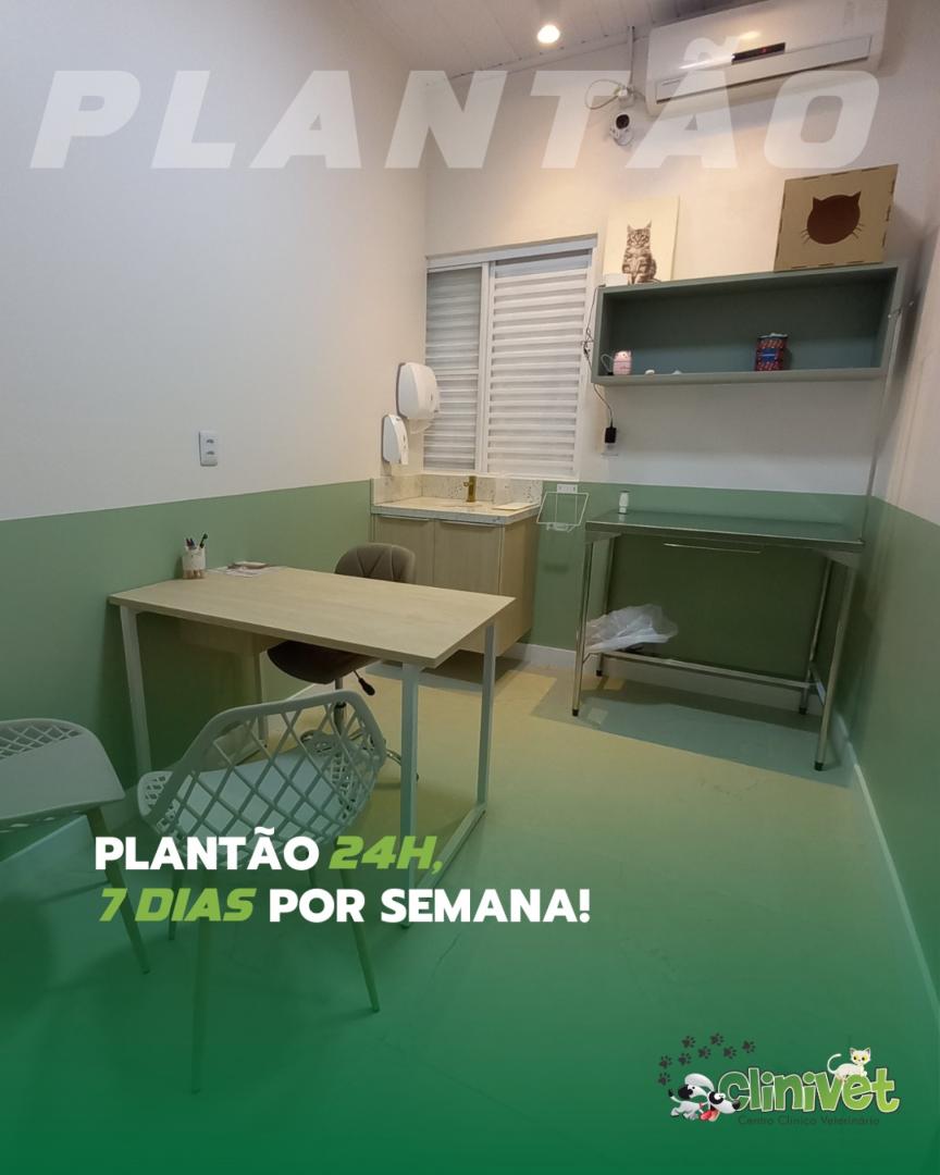 Sala de Atendimento 1 - Clinivet