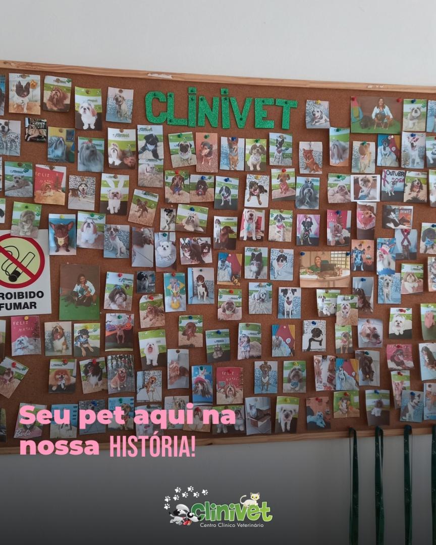 História - Clinivet