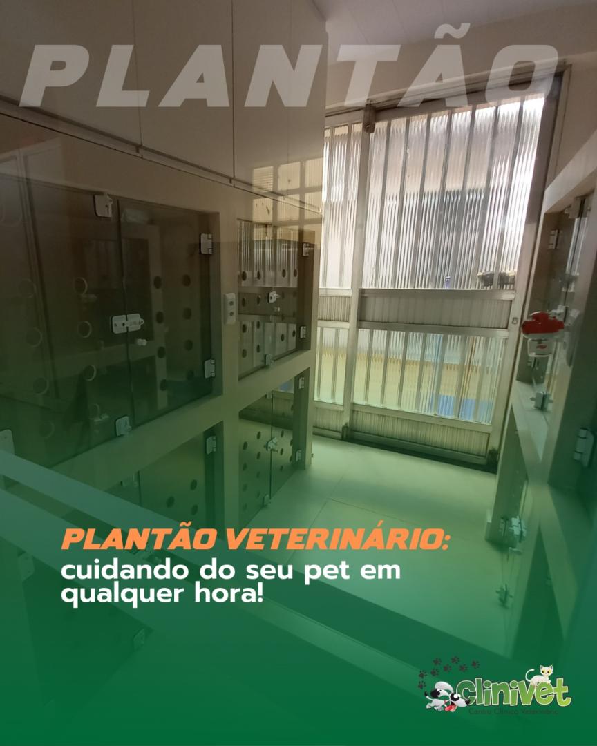 Plantão Veterinário - Clinivet