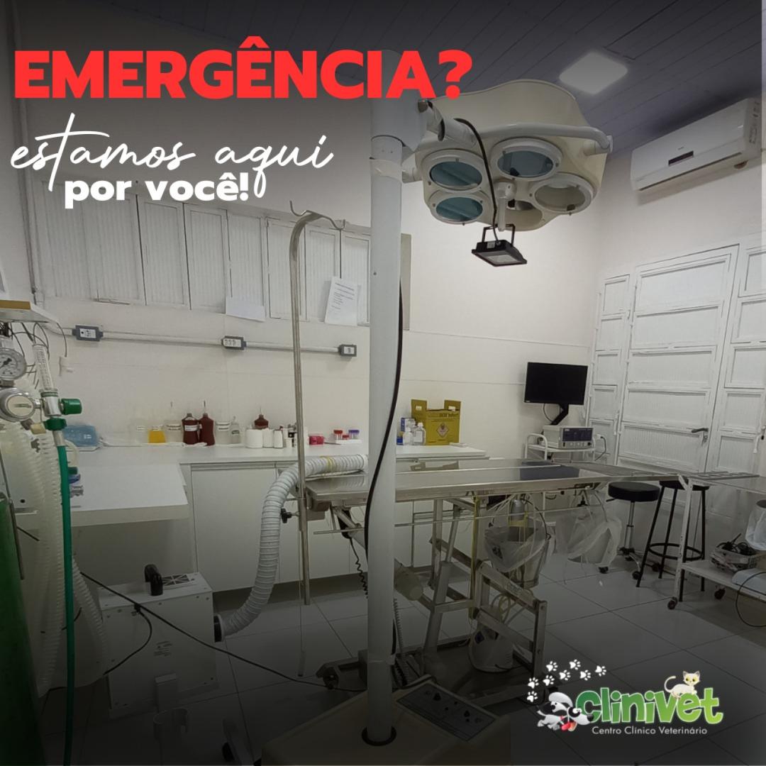 Nossa Emergência - Clinivet