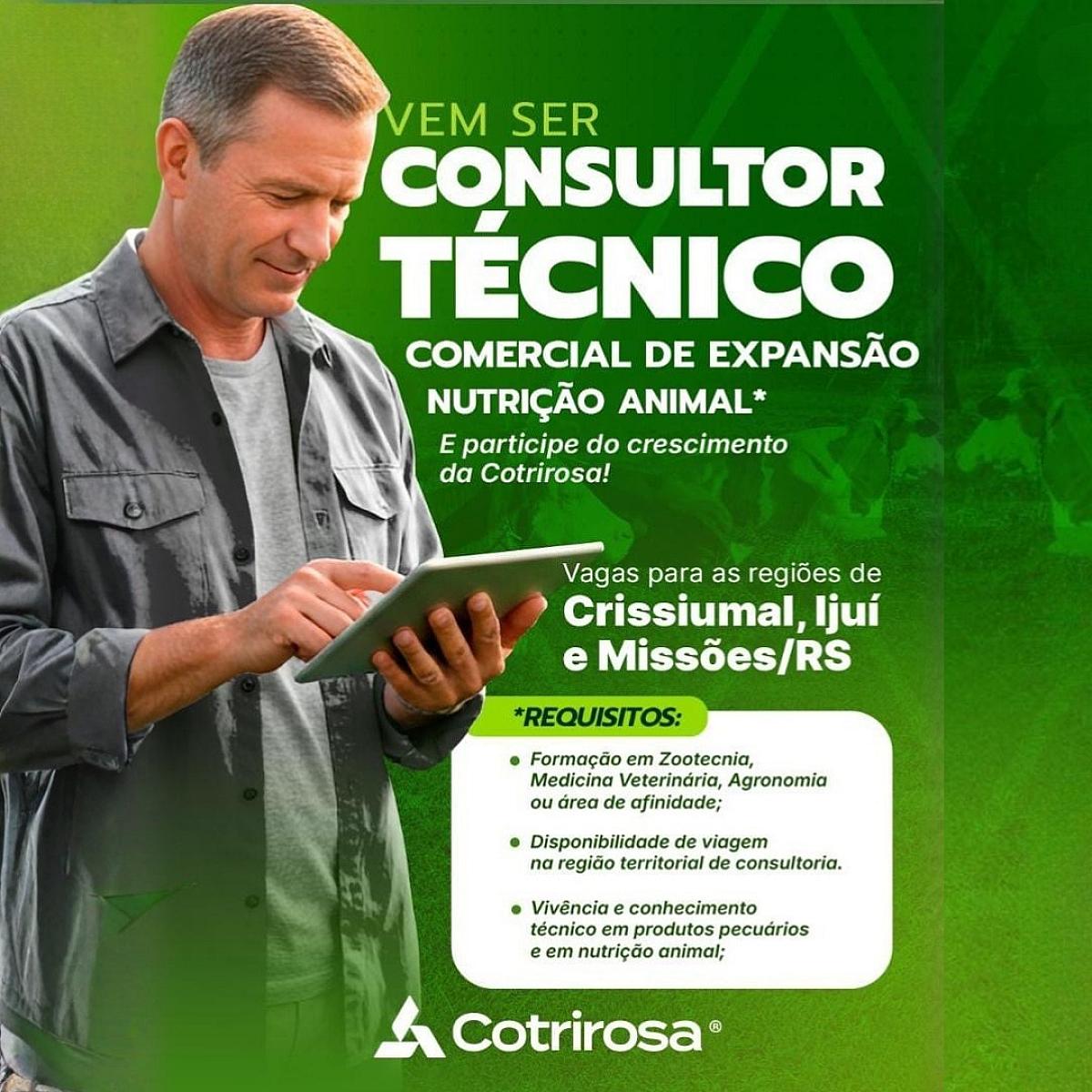 Consultor Técnico Comercial