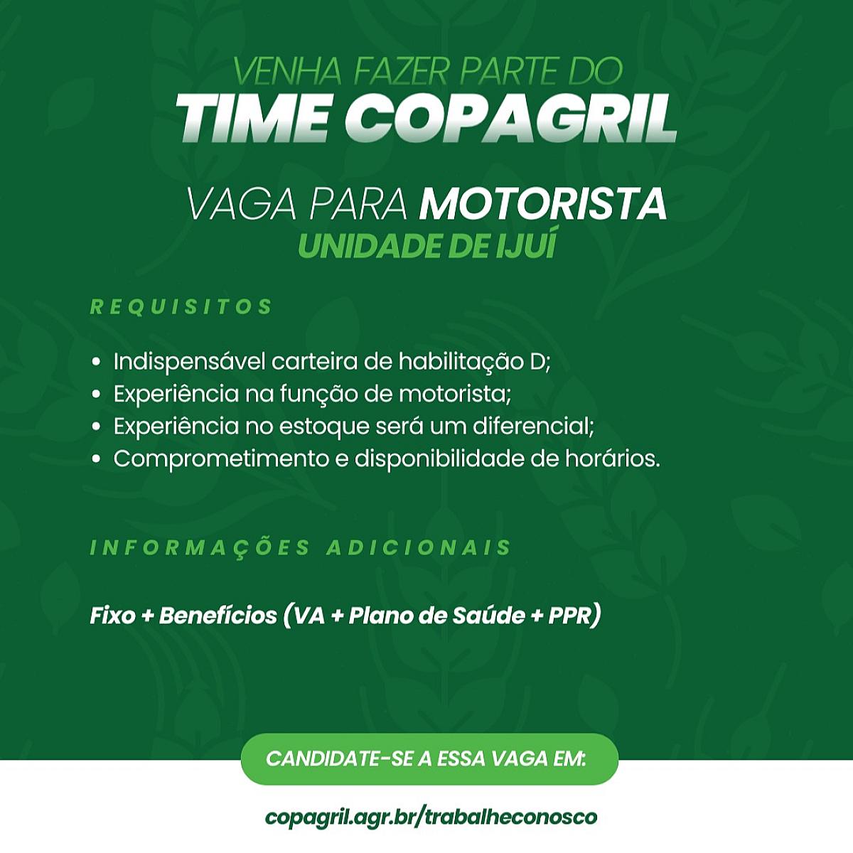 Motorista Categoria D